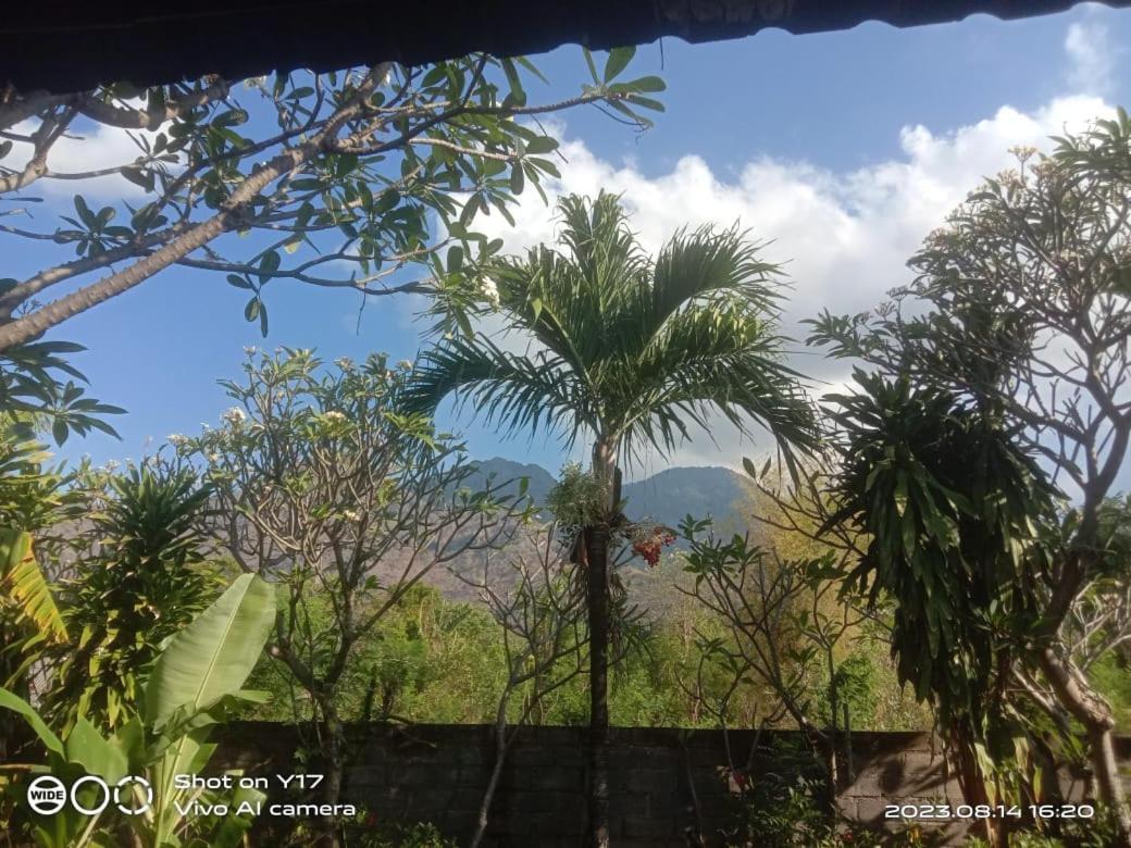 Tirta Bali Homestay Pemuteran Exteriör bild