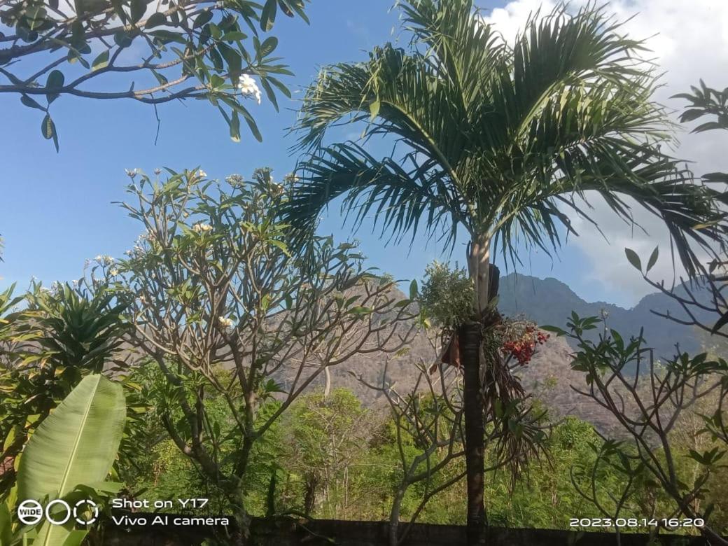 Tirta Bali Homestay Pemuteran Exteriör bild